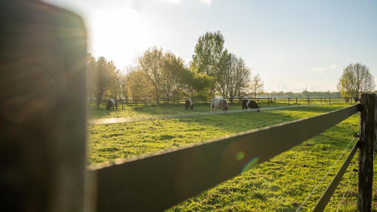 Gipsy Home Nieuwleusen Eksteriør bilde